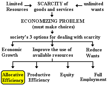 On The Efficient Allocation Of Scarce Resources With Alternative Uses